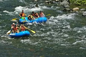 Images Dated 23rd August 2008: Rafting on the South Fork of the Trinity River, California, United States of America