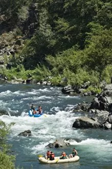 Rafting on the South Fork of the Trinity River, California, United States of America