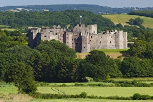 Raglan Castle, Monmouthshire, Wales, United Kingdom, Europe