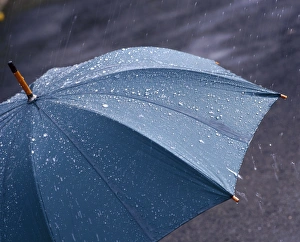 Droplet Prints: Rain falling on an umbrella