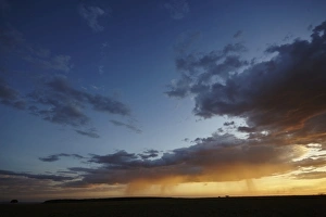 Maasai Mara Prints: Rain and sunset on the Msai Mara plains, Kenya, East Africa, Africa