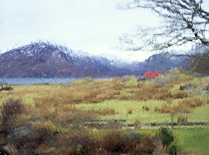 Rainfall Prints: Rain on the window