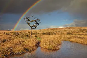 Autumnal Prints: A rainbow arches across the marshy open moors of Dartmoor in autumn