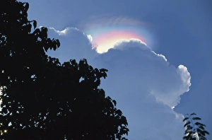 Dramatic Skies Prints: Rainbow atmospheric effect above cloud above the Ijen Plateau, Java, Indonesia