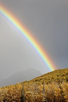 Images Dated 16th September 2009: Rainbow with fall colors near King Mountain State Recreation Area and Chickaloon