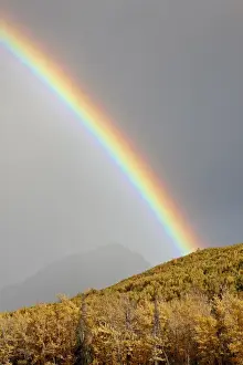 Rain Bow Prints: Rainbow with fall colors near King Mountain State Recreation Area and Chickaloon
