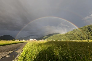 Meteorological Prints: Rainbow over green fields of countryside, Cosio Valtellino, Sondrio province, Valtellina