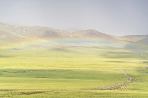 Meteorological Prints: Rainbow over the green Mongolian steppe, Ovorkhangai province, Mongolia, Central Asia