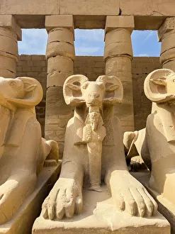Support Prints: Ram-headed sphinx statues at Karnak