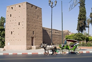 Rampart Prints: Ramparts, part of City Walls