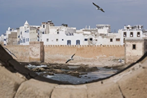 Town Wall Prints: Ramparts of town and seagulls
