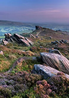 Heather Prints: Ramshaw Rocks and purple heather in summer