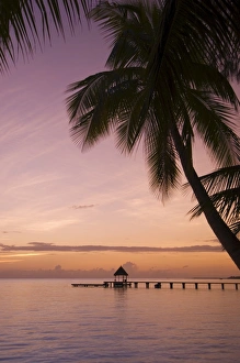 Polynesia Prints: Rangiroa, Tuamotu Archipelago