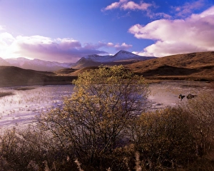 Rannoch Moor