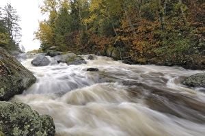 Brushland Prints: Rapids between Mora Lake and Little Saganaga Lake, Boundary Waters Canoe Area Wilderness