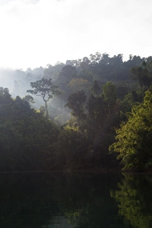 Woods Prints: Ratchaprapa reservoir, Khao Sok National Park