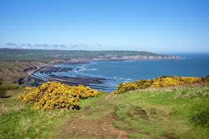 Gorse Prints: Ravenscar's rocky beach on the Yorkshire coast