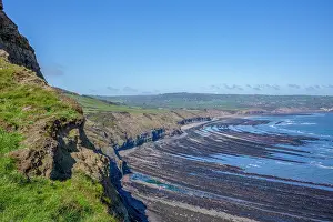 Grasslands Prints: Ravenscar's rocky cliffs and beach on the Yorkshire coast