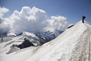 Back Pack Prints: Reaching the summit of Mount Cevedale, 3769 m, Ortler Alps, South Tyrol, Italy, Europe