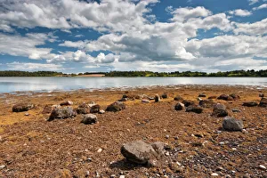 Horizon Over Land Prints: Reagh Island, Strangford Lough, County Down, Ulster, Northern Ireland, United Kingdom