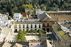 Alcazar Prints: Real Alcazar