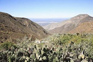 Images Dated 1st November 2007: Real de Catorce, Sierra Madre Oriental mountains, San Luis Potosi state
