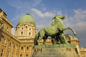 Danube Prints: Rear facade of the Hungarian National Gallery, once part of the Royal Palace