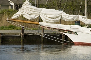 Maryland Prints: Rebecca T. Ruark, a famous historic Skipjack, the oldest in the U
