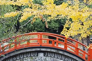 Kyoto Gallery: A red arched bridge and yellow gingko tree leaves, Shimogamo Shrine, Tadasu no Mori