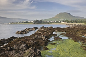 Moss Prints: Red Bay, County Antrim, Ulster, Northern Ireland, United Kingdom, Europe