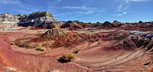 Bentonite Prints: The red bentonite hills of the Red Basin in Petrified Forest National Park