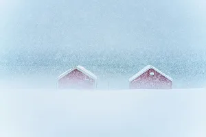 Rorbu Prints: Red cabins in the mist during a heavy snowfall, Troms county, Norway, Scandinavia, Europe