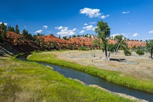 Red Canyon Prints: Red canyon in the background of a little creek