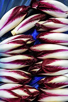 Freshness Prints: Red chicory sits in a display ready for sale at a market in France during the harvest season