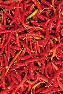 Back Ground Collection: Red chilli peppers