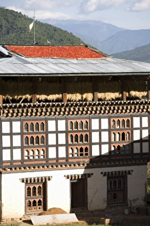 Paro Prints: Red chillies drying on the roof of a typical house, Paro, Bhutan, Asia