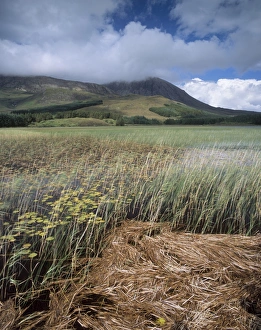 Cuillin Hills Prints: Red Cuillins range