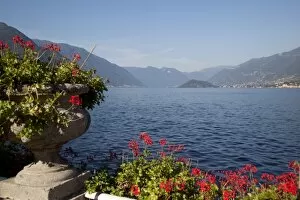 Images Dated 13th August 2011: Red geraniums and lake, Bellagio, Lake Como, Lombardy, Italian Lakes, Italy, Europe