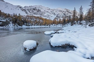 Red larches frame the frozen Lake Mufule, Malenco Valley, Province of Sondrio, Valtellina