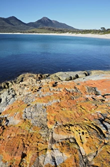 Red lichen on rocks, Wineglass Bay, Freycinet National Park, Freycinet Peninsula