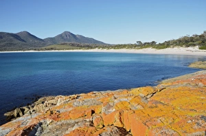 Red lichen on rocks, Wineglass Bay, Freycinet National Park, Freycinet Peninsula