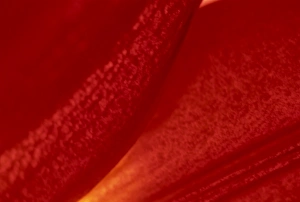 Lily Prints: Detail of a red lily flower