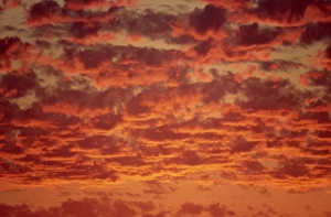 Skies Prints: Red and orange clouds at sunset in South Africa
