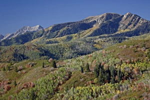 Land Form Prints: Red and orange maples and yellow aspens in the fall