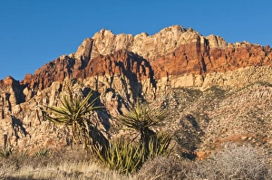 Red Rock Canyon outside Las Vegas, Nevada, United States of America, North America
