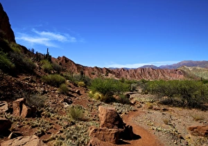 Red rock formations in the Canon Del Inca, Tupiza Chichas Range, Andes, Southwestern Bolivia, South America