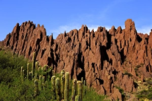 Red rock formations in the Canon Del Inca, Tupiza Chichas Range, Andes, Southwestern Bolivia, South America