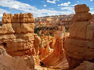 Hoodoo Prints: Red rock formations known as hoodoos in Bryce Canyon National Park