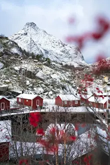 Focus On Background Prints: Red Rorbu cabins framed by snowcapped mountains in winter
