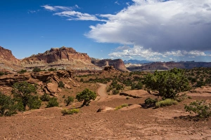 Red sandstone cliffs in the Capitol Reef National Park, Utah, United States of America, North America